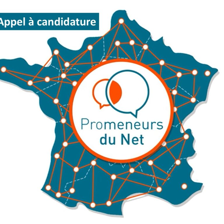 Promeneurs_du_net